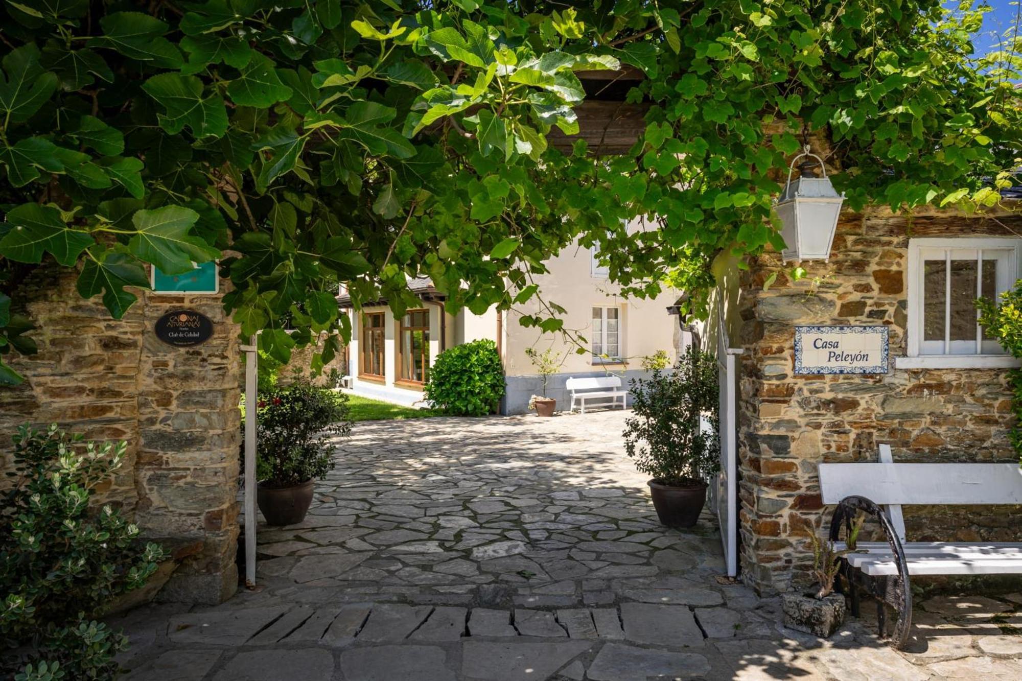 مبيت وإفطار كاستروبول Casa Peleyon المظهر الخارجي الصورة